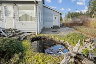 Pond with Fish