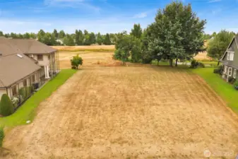 Welcome to the gated community of Island Green Way and one of the very last buildable lots left on the Homestead Golf course!