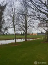 This is a beautiful setting!