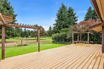 Enormous deck leading to the backyard.