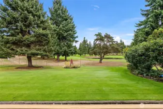 View from the backyard.