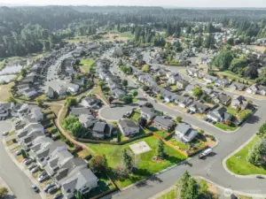 Neighborhood Overview