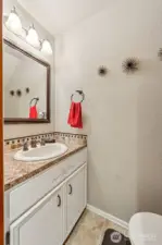Powder room downstairs