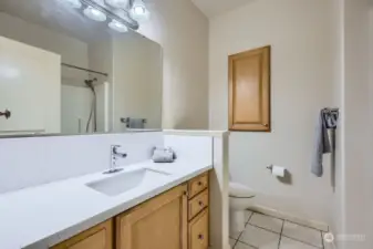 Full guest bath with plenty of storage and counter space