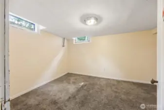 Finished bonus room in the basement, with a closet.
