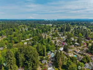 Olympia HS & Pioneer Elementary nearby. Wildwood is a friendly, established neighborhood in a prime location!