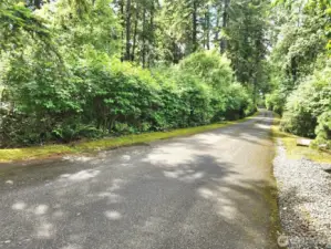 Private driveway serving the property. All the property on the LEFT as you enter is the subject property