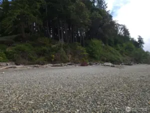 Beach looking south