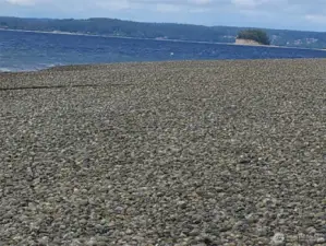 Standing on the beach looking north to Dead Mans Island