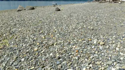Great beach to walk the area on. Easy walk. You can walk all the way to Shaw Cove or down to the Horsehead Bay Sandspit. Easy walk.