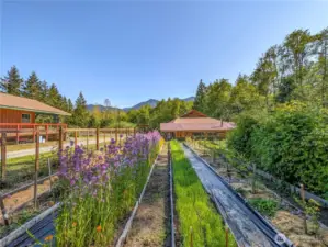 Main Gardens