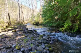 Goat Creek late spring
