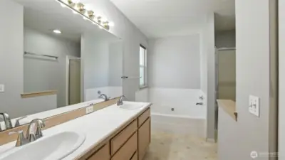 Primary suite bathroom