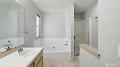 Primary suite bathroom