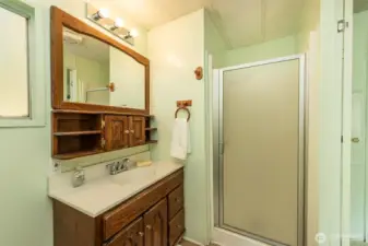 Shower in large suite