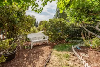 Space to sit and hear the birds sing