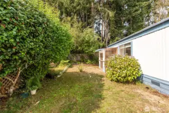 Backyard