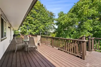 Large 'trex' deck -  room to entertain a crowd!