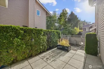 Backyard patio