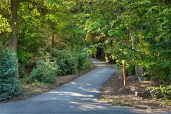 This winding private drive meanders through a canopy of mature maples, firs, and evergreens, offering an enchanting approach to the estate. Dappled sunlight filters through the trees, creating a peaceful, shaded corridor that feels a world apart—setting the tone for a property defined by natural beauty, privacy, and timeless Pacific Northwest character.