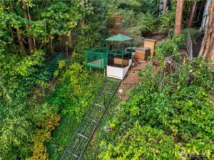 An inclined tram glides through the forested hillside, offering a memorable and convenient connection between the home and its lakeside amenities. Surrounded by mature trees and native understory, the ride becomes an immersive passage through the preserve’s protected natural landscape—linking daily living with the rhythms of the water and woods below.