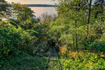 Descending through a lush canopy of trees, the private tramway offers a peaceful journey toward the water’s edge. Framed by vibrant foliage and filtered sunlight, the ride reveals views of Lake Washington and the Olympic Mountains beyond—a gentle reminder of the harmony between home and habitat at Evergreen Lakeshore Preserve.