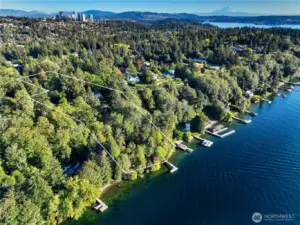 An extraordinary stretch of private shoreline lies nestled within one of the most forested and peaceful enclaves on Lake Washington. Here, docks peek through the trees and serenity reigns, offering a rare and coveted sense of natural seclusion—all just minutes from the heart of the Eastside and downtown Seattle.