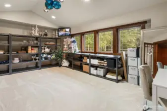Bonus room/craft room