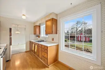 Kitchen Looks Out at the Woodshed.