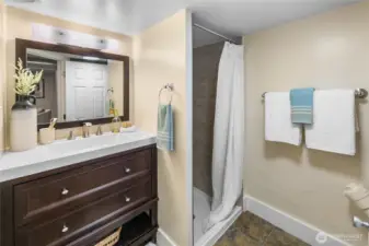 Lower level 3/4 bathroom