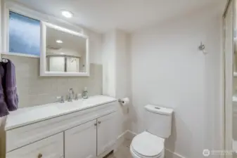 Extra wide vanity with shower in the lower level bathroom.