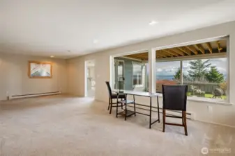 Room at the garden level with gas fireplace. Both fireplaces have blowers. Nice views from this level as well.