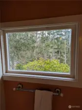 Window in main bathroom