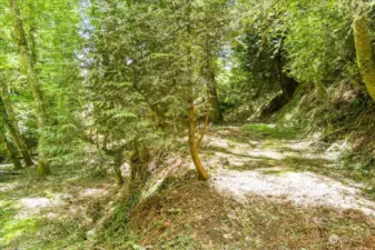 View if the incline and cleared site.  This lot has so much potential and sunlight waiting to break through