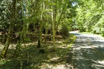 Road curves around the site.