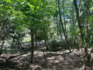 View of the road from the site. Included are 2 water shares with county dues.