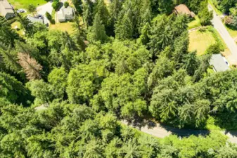 Aerial view of site and road running along side. Neighboring homes area also visible.