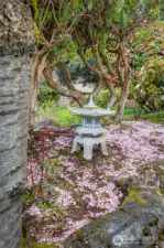 Just off the back patio and it is one of those things that makes you smile