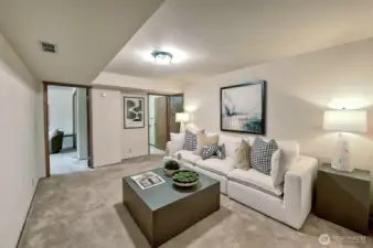 Downstairs Family room