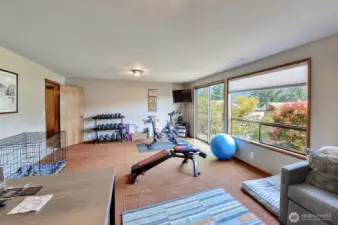 Downstairs Family Room