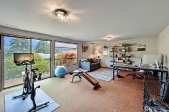 Downstairs Family Room