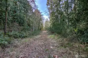 Foxden From Midway looking from Sportsman West. Lot B on the right of Drive