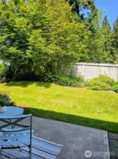 back yard