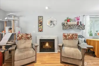 Living Room with Gas Fireplace