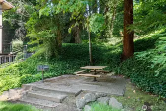 Great BBQ area