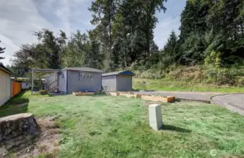 Front Yard