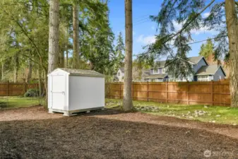 Backyard with storage shed
