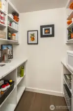 Walk in pantry