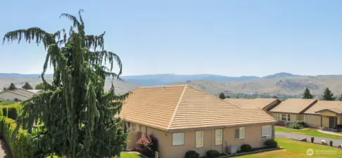 SOUTHERN VIEWS