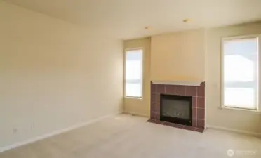 LIVING AREA WITH GAS FIREPLACE